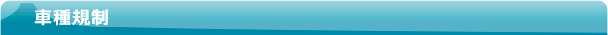 車種規制